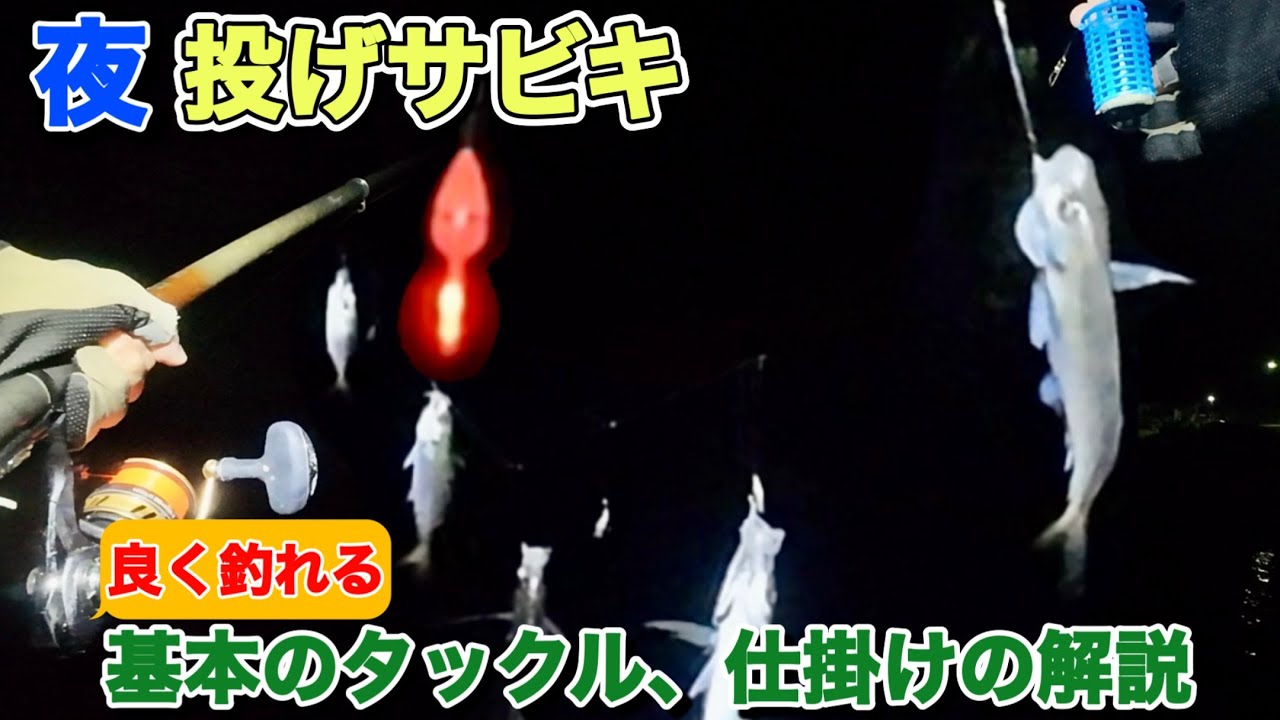 【投げサビキ】夜の漁港で投げサビキ。基本のタックルと仕掛けと餌の紹介。