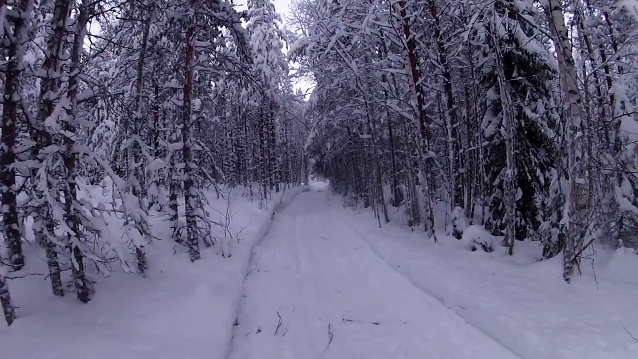 Aku ajaa jänistä kieletyllä alueella