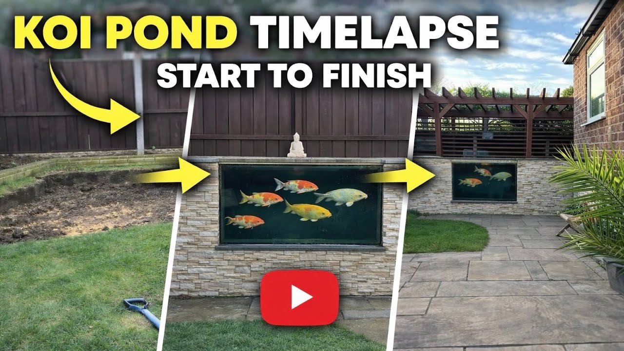 Koi Pond With Window Time Lapse - Start to Finish