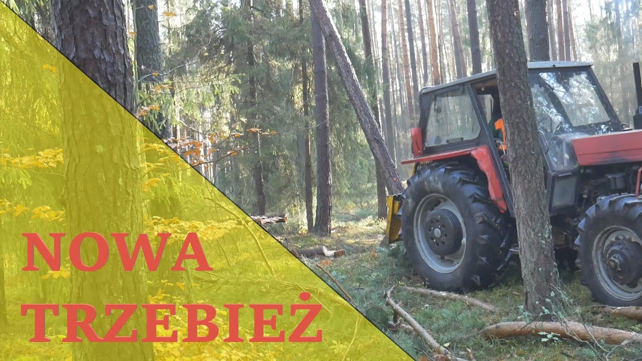 Nowa trzebież || Vlog #12 || Okiem ZULa