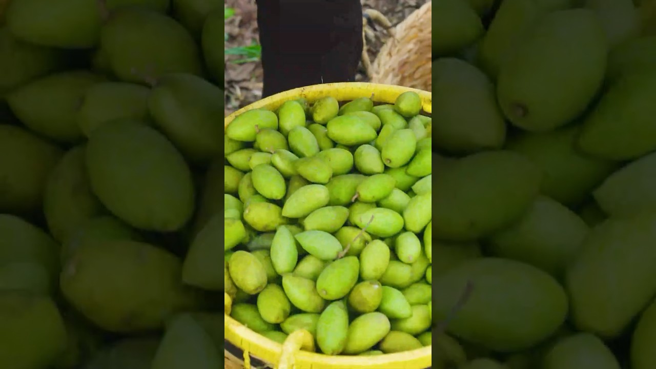 This Sour Fruit Will Shock You