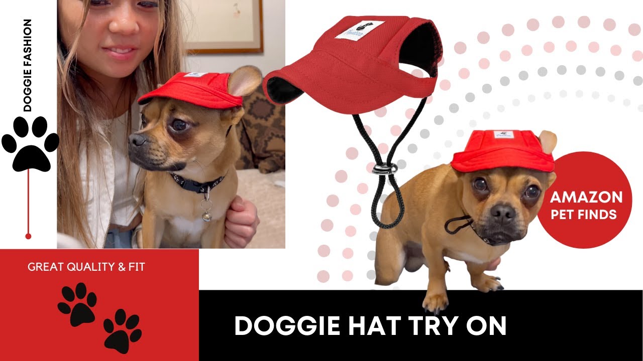 Pawaboo Dog Hat Try on! This is our CHUG's first cap ever! Amazon Pet Fashion
