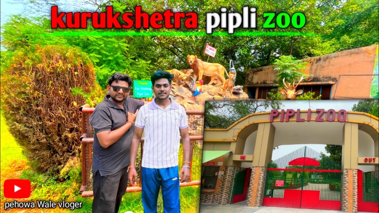 Pipli zoo kurukshetra Haryana || New vlog || पिपली चिड़ियाघर कुरुक्षेत्र।