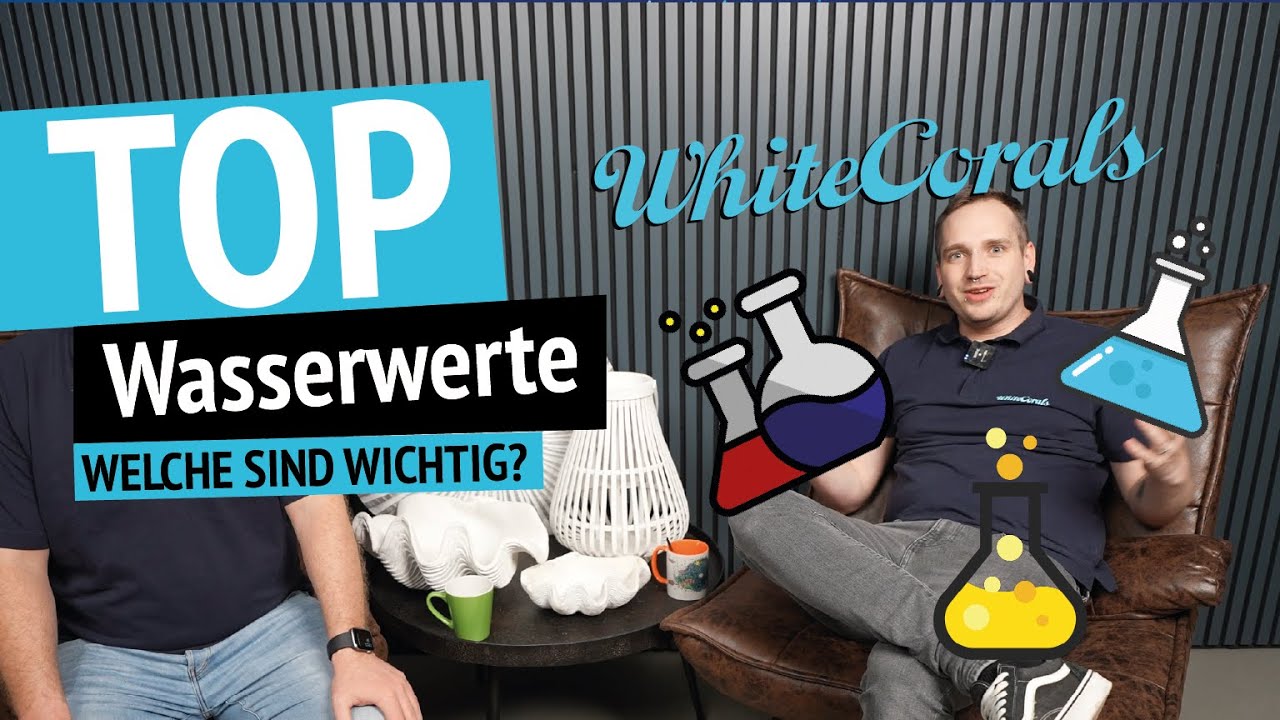 Top 10 - Zehn Wasserwerte in deinem Meerwasser Aquarium erklärt