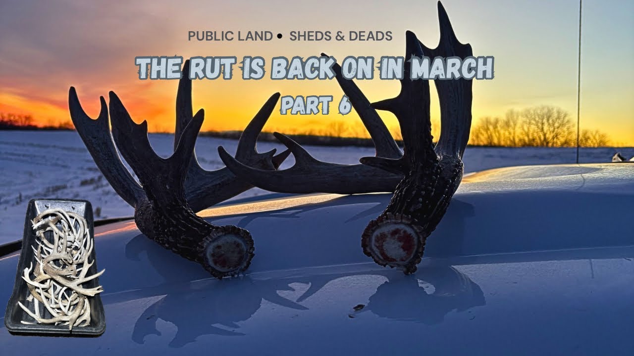 Shed Hunting the Driftless Area Public Lands - Part 6