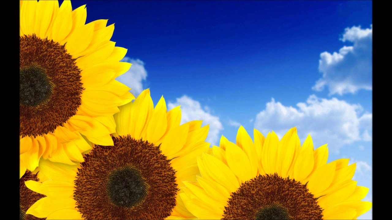 Three Advices Toward Success