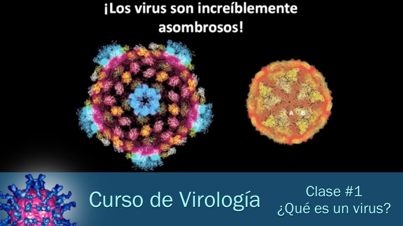 Clase #1 - ¿Qué es un virus?