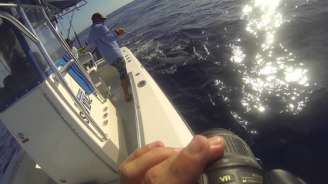 Blue Marlin Peak Sportfishing Exmouth, Australia