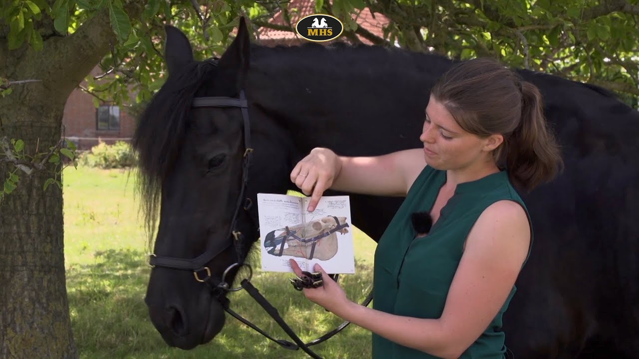 Horseware | Rambo Micklem Competition | Anatomisch gevormd hoofdstel