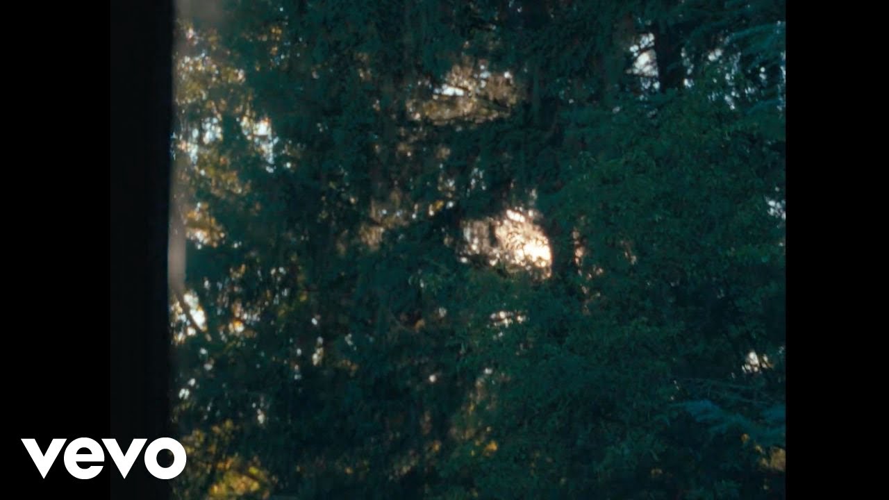 ZVRZ! - Stelle come te