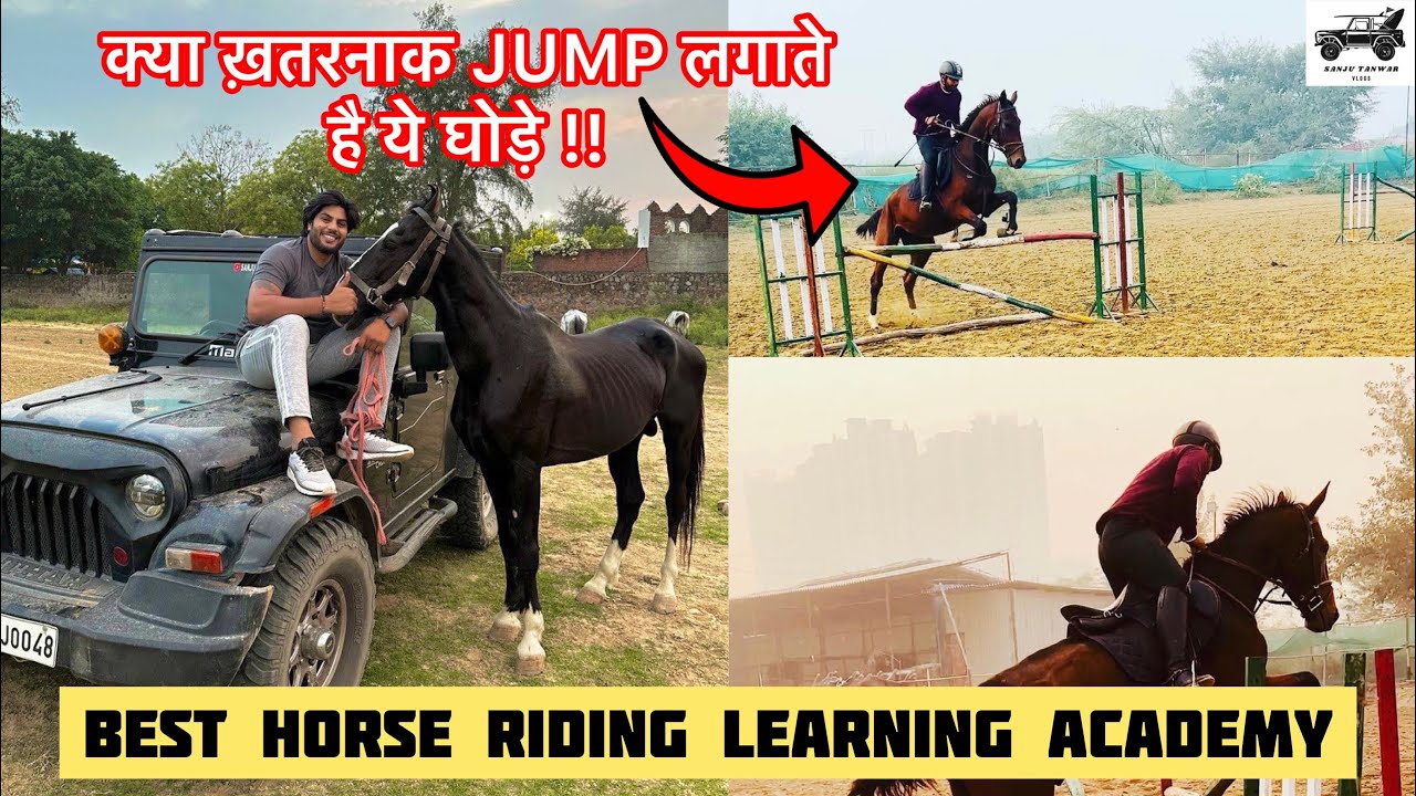 BEST HORSE RIDING LEARNING ACADEMY,क्या ही ख़तरनाकJUMPलगाते हैं ये घोड़ा,REMOUNT EQUESTRIAN CENTRE🤩