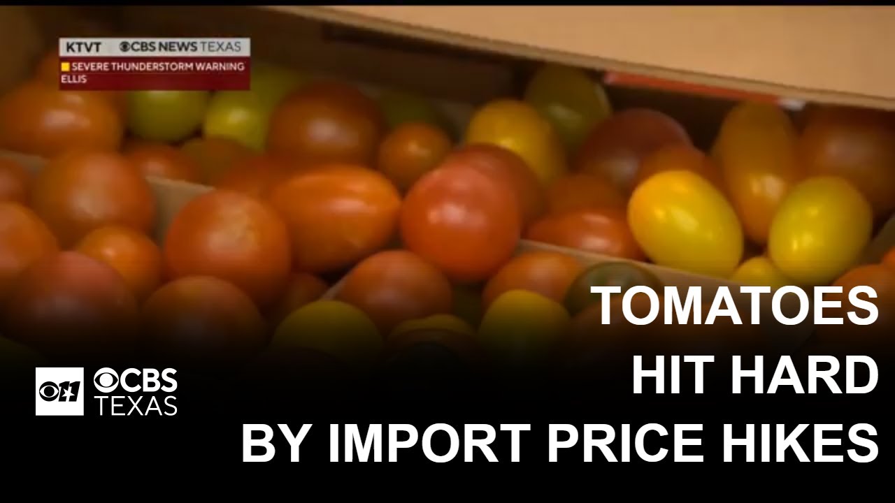Tomatoes among hardest hit by import price hikes