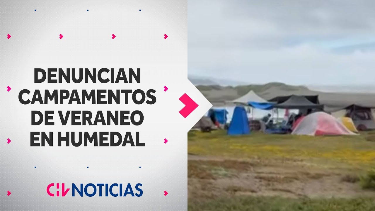 Denuncian campamentos de veraneo en el Humedal de Mantagua: Intervienen zonas protegidas