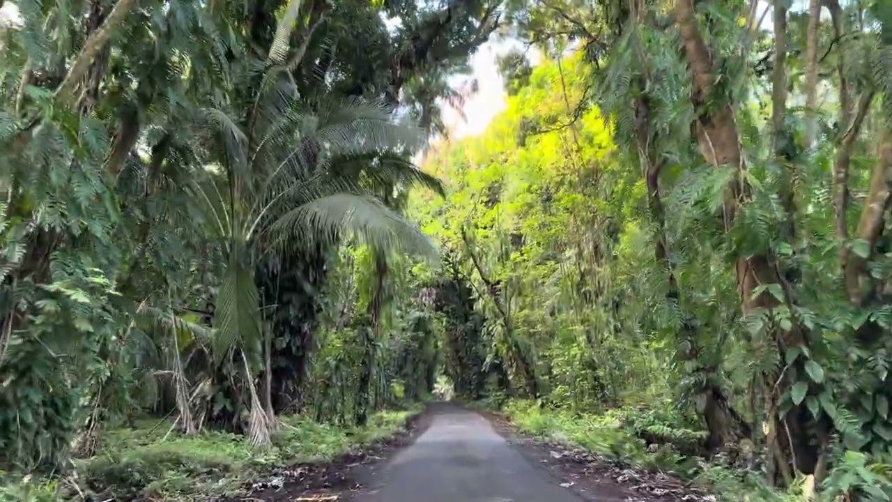 Hawaiian morning ride