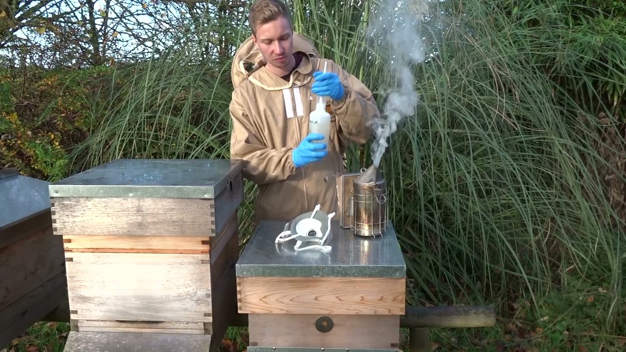 Beekeeping Guide: How To Treat Your Hives With Api-Bioxal
