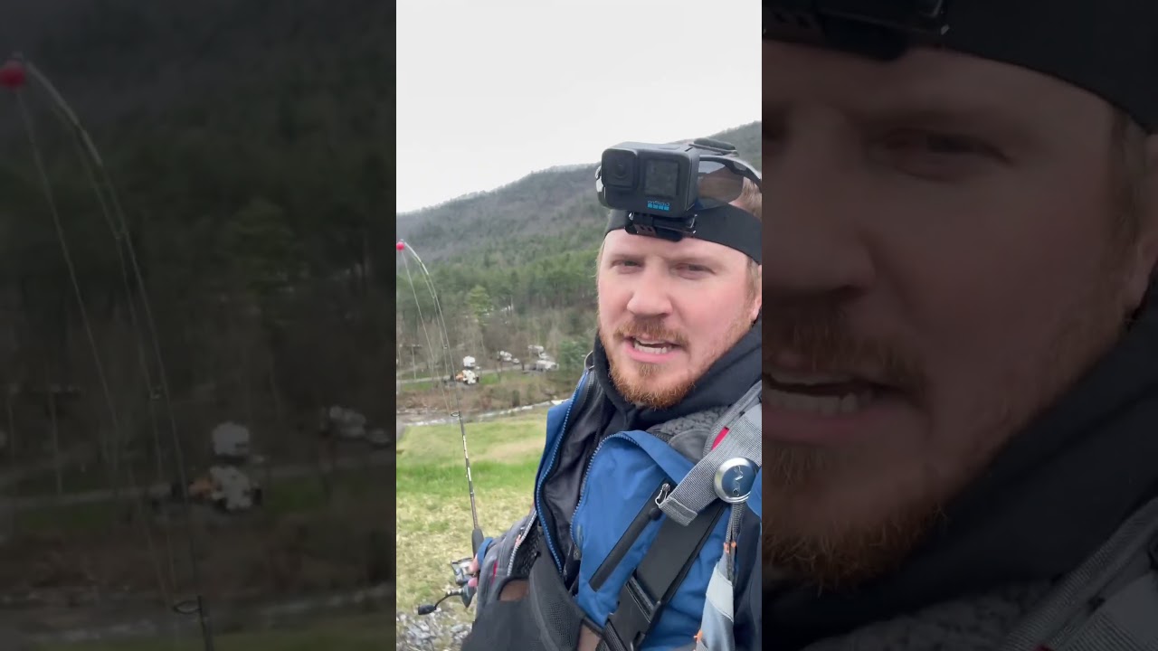 Little pine, big pine, big trout #fishing #mountains #troutfishing