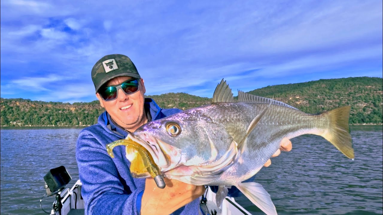 Flicking lures around Pittwater and the Hawkesbury river