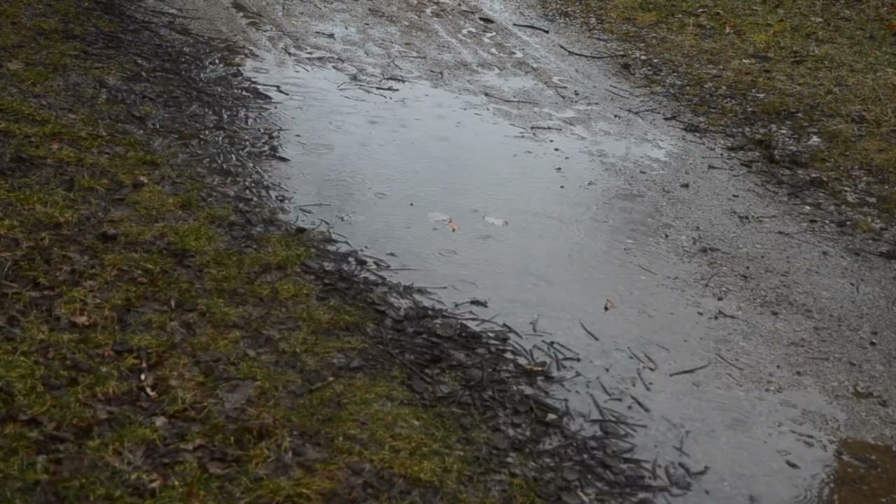 Relaxing rain on gravel road ⛈️ 30+ minutes rain and thunder for sleep, study and chill.