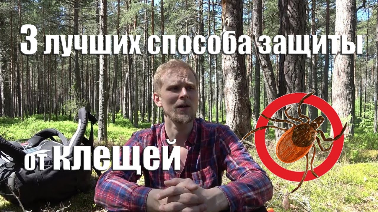 3 ЛУЧШИХ СПОСОБА ЗАЩИТИТЬСЯ ОТ КЛЕЩЕЙ.