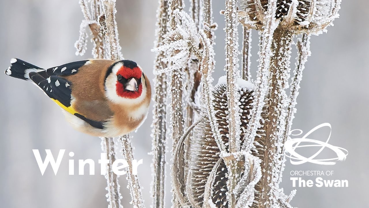 Winter - Nurture Nature