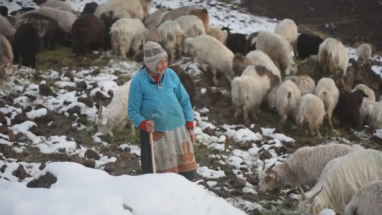 Criancera del norte neuquino | Doña Marcelina cumple 75 años: el emocionante mensaje de sus hijos
