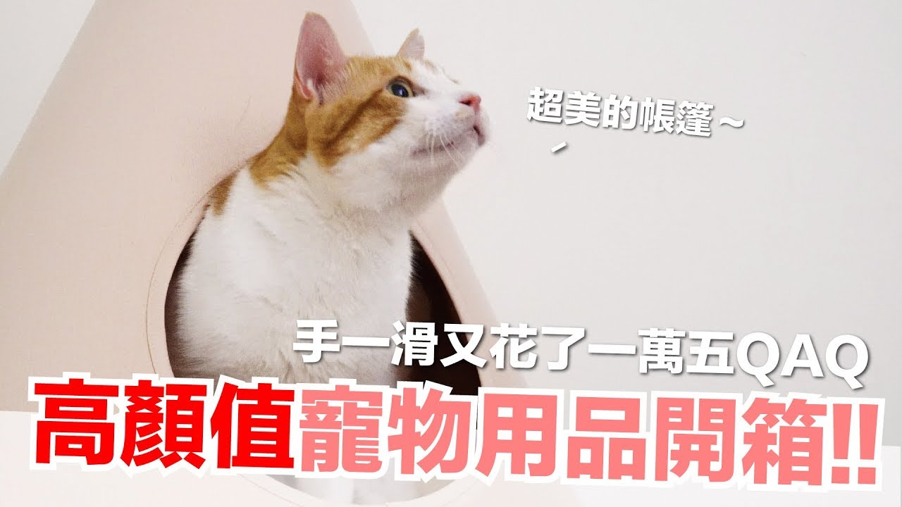 超美貓帳篷！高顏值寵物用品開箱【好味貓開箱】EP13
