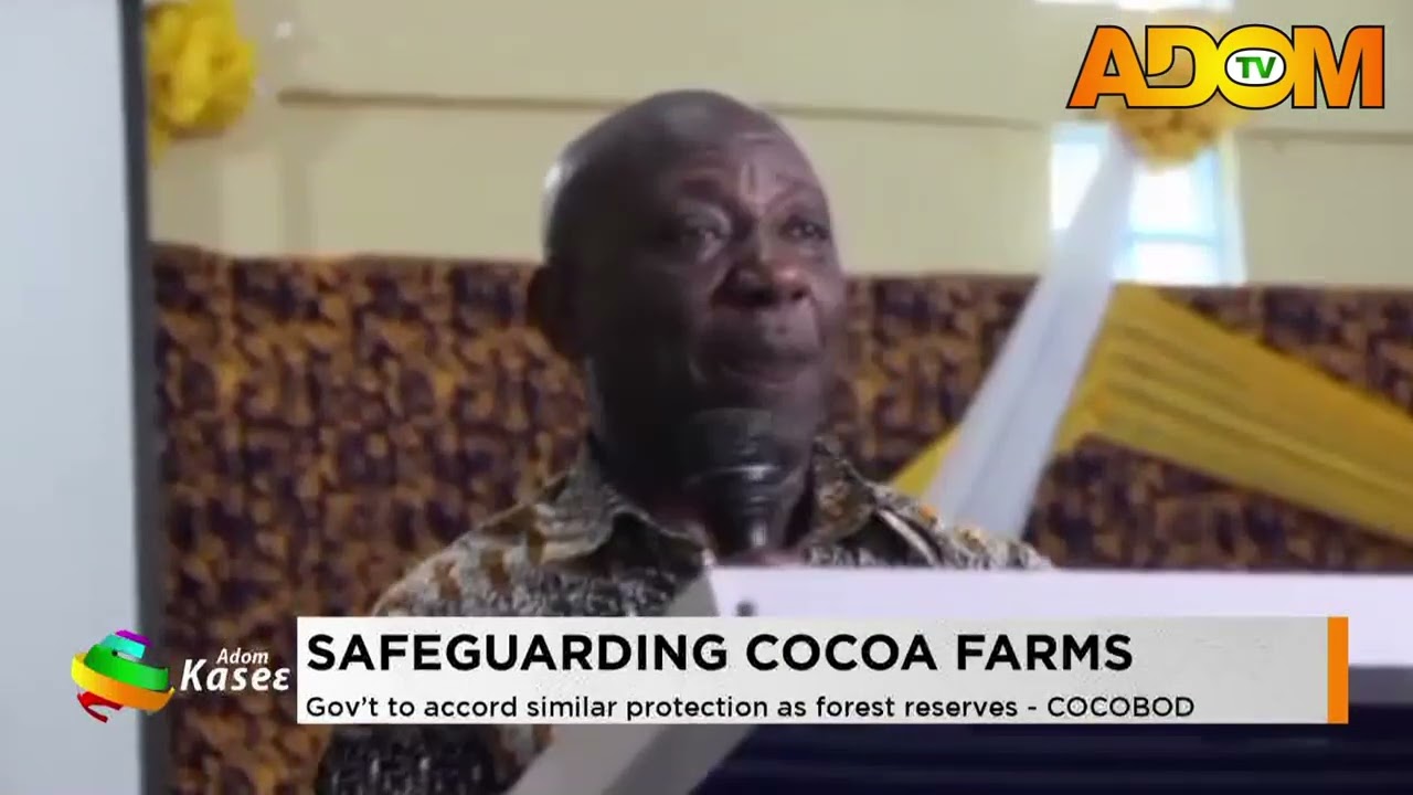 Safeguarding Cocoa Farms: Gov't to accord similar protection as forest reserves- COCOBOD (05-08-26)