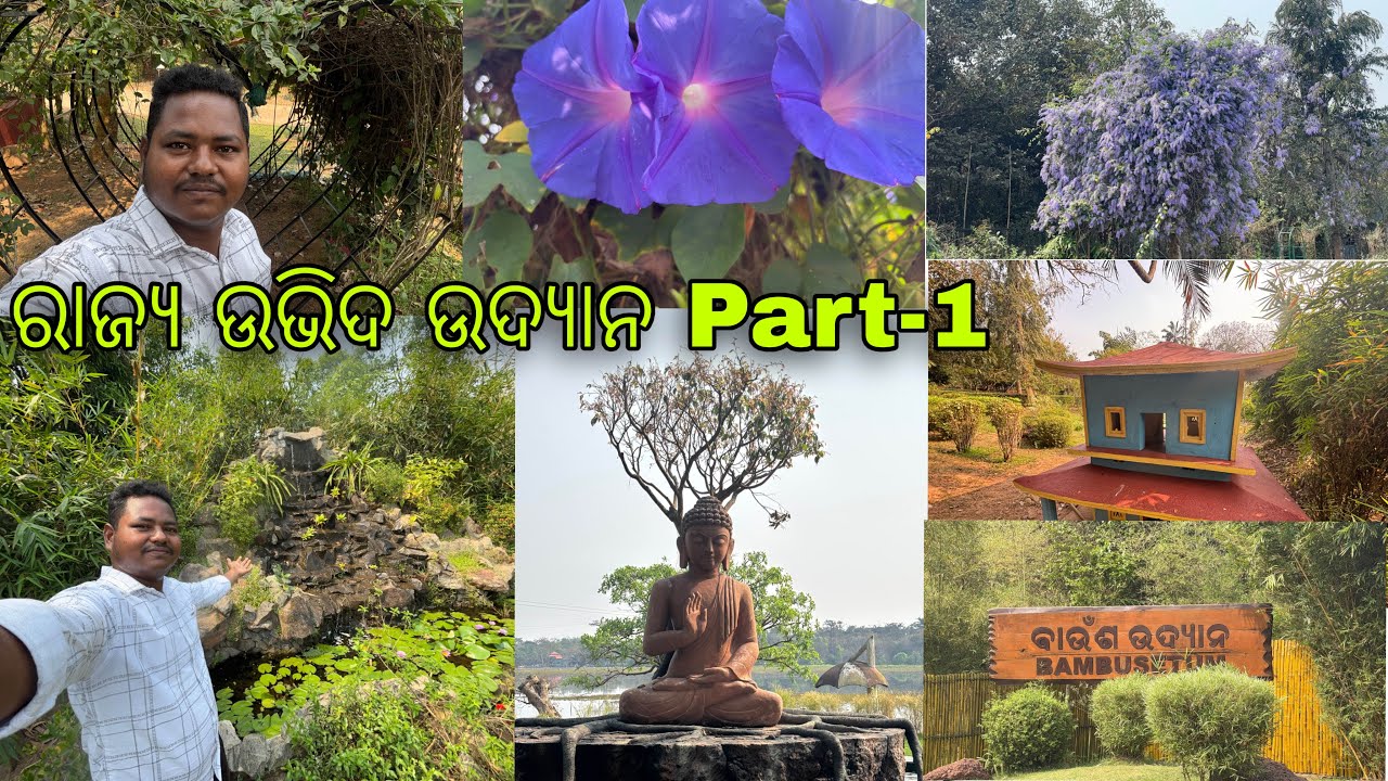 ରାଜ୍ଯ ଉଭିଦ ଉଦ୍ଯାନ ||  State Botanical Garden-Part-1 #LifeOfAbhi #147
