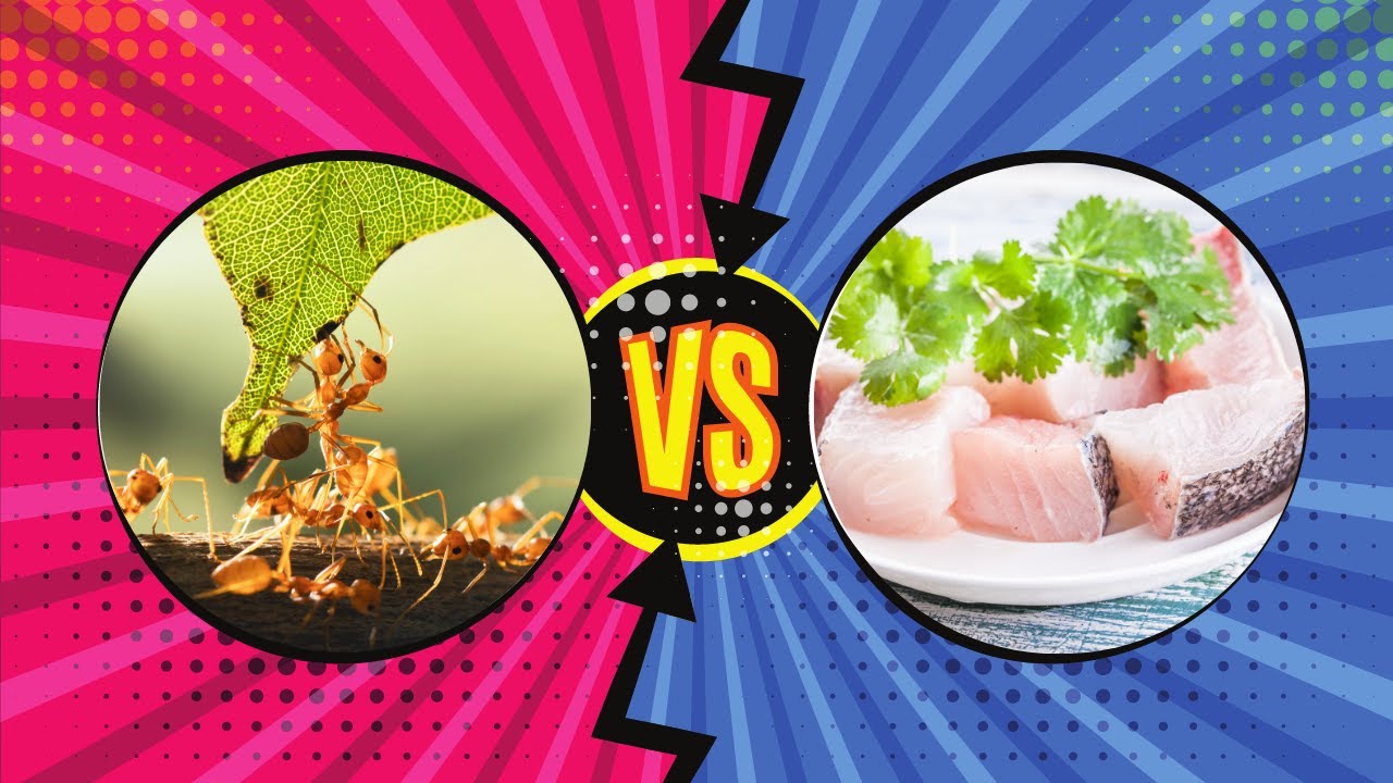 What happens! ants vs fish 😲