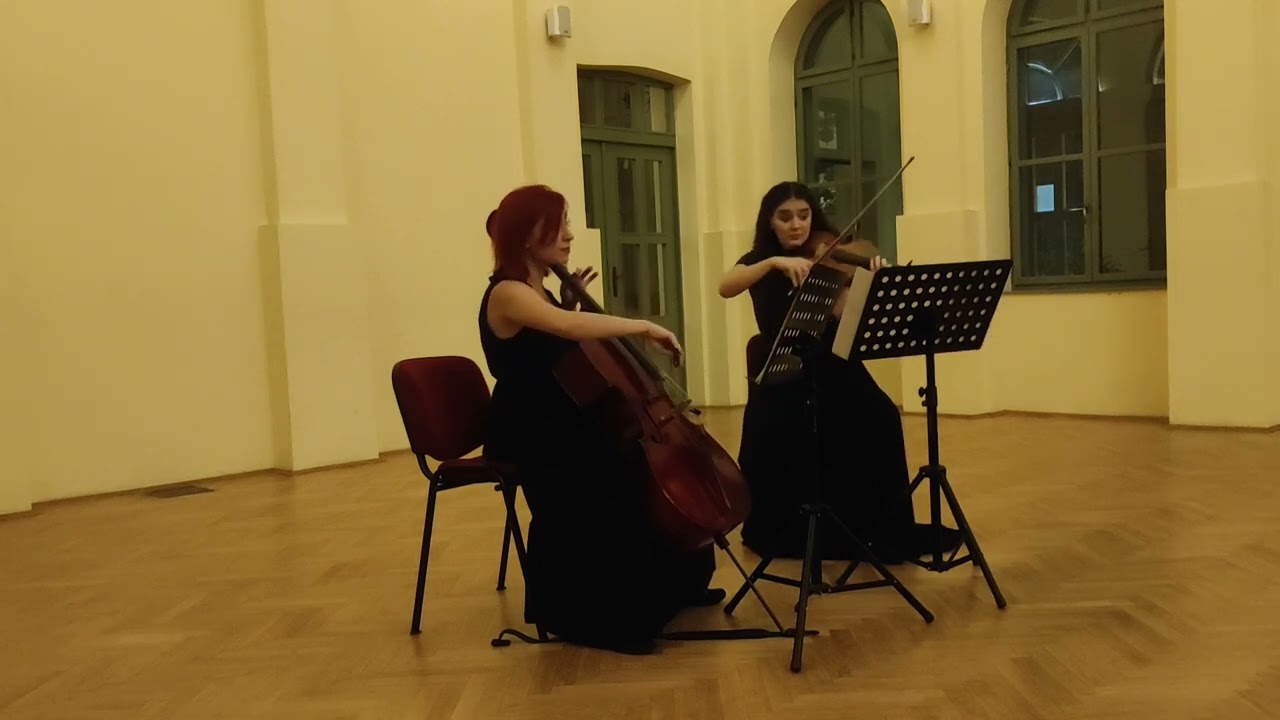 Duo Dragorad - Carl Stamitz - Duo for viola and cello in C major, 1st movement