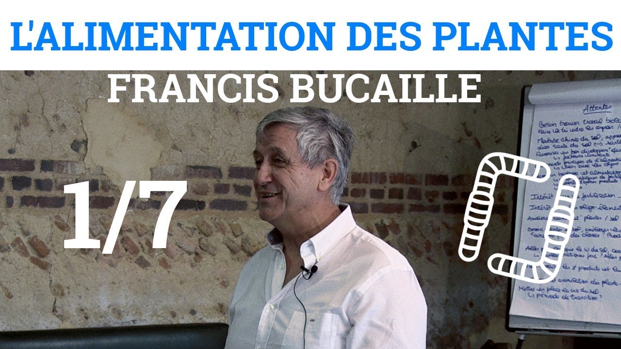 1/7 - Francis BUCAILLE -  D&eacute;finition d'un sol mort