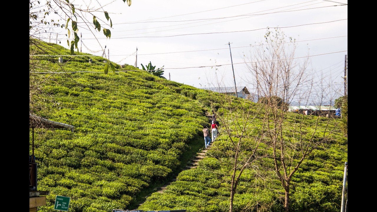 Namchi with Temi Tea Garden