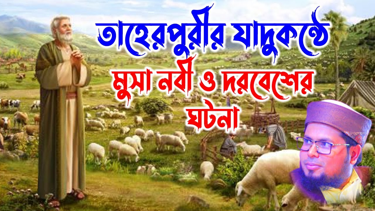 মুসা নবী ও দরবেশের ঘটনা । দেলোয়ার হোসেন তাহেরপুরী | Mufti Delwar Hossain Taherpuri