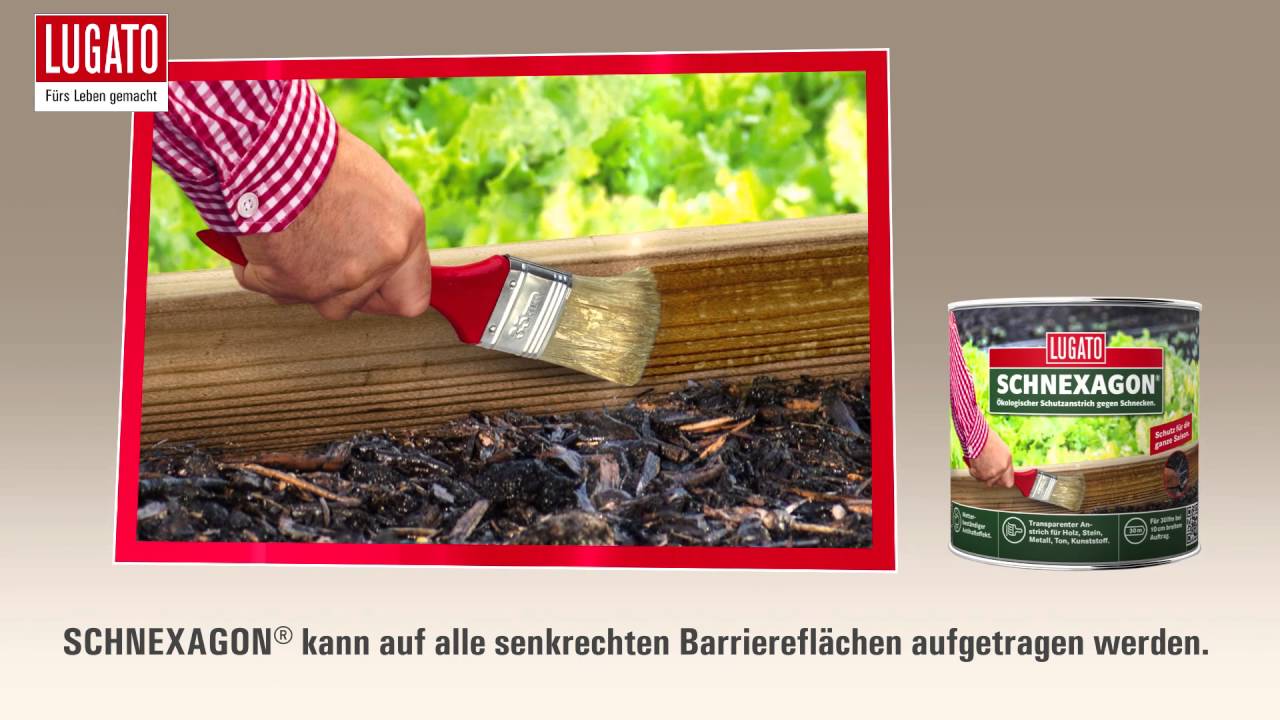 NEUHEIT Lugato Schexagon®