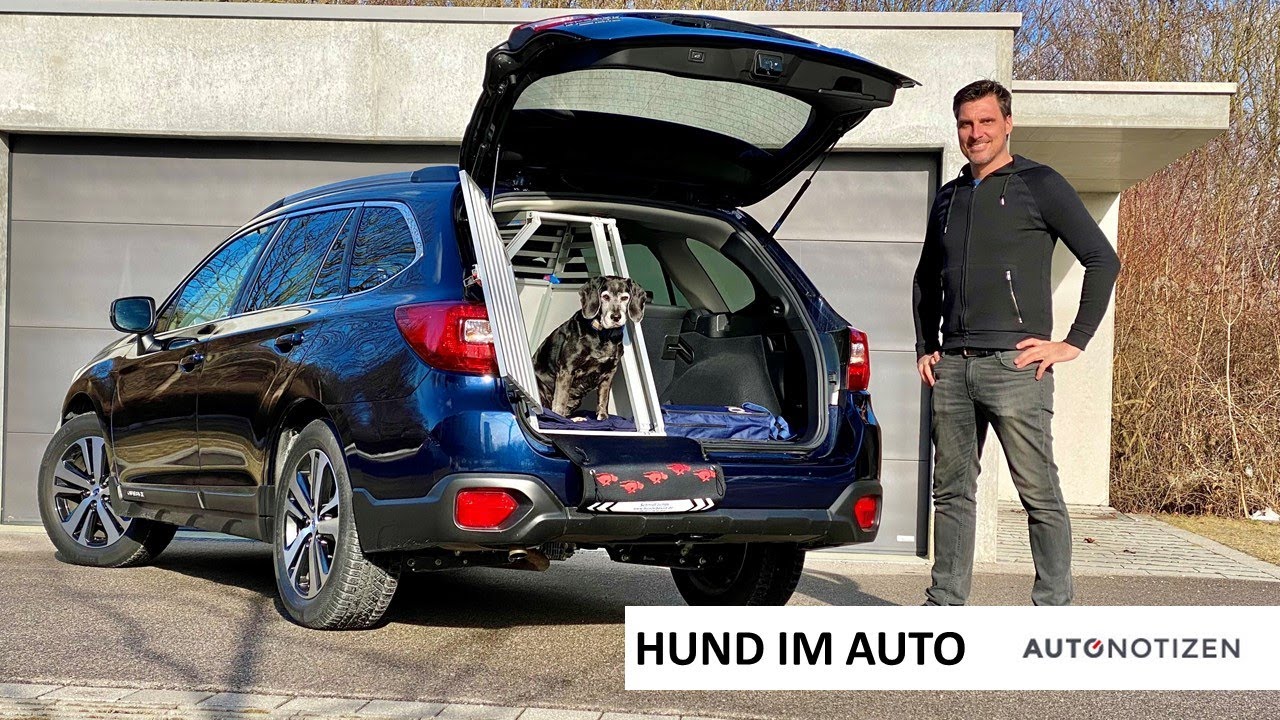 Hund im Auto: Transport in der Hundebox / Test in einem Subaru Outback