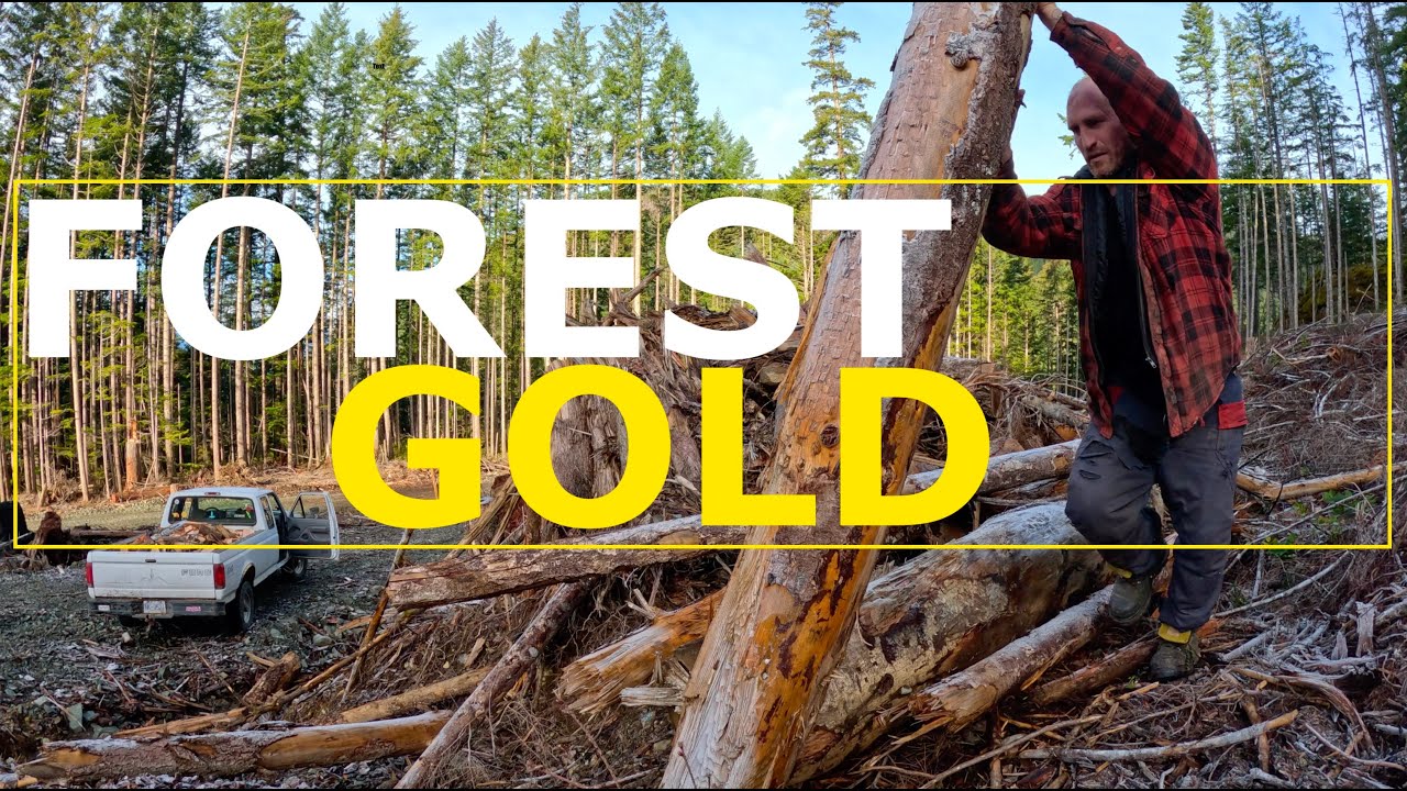 Firewood - Easy Money... OR IS IT??