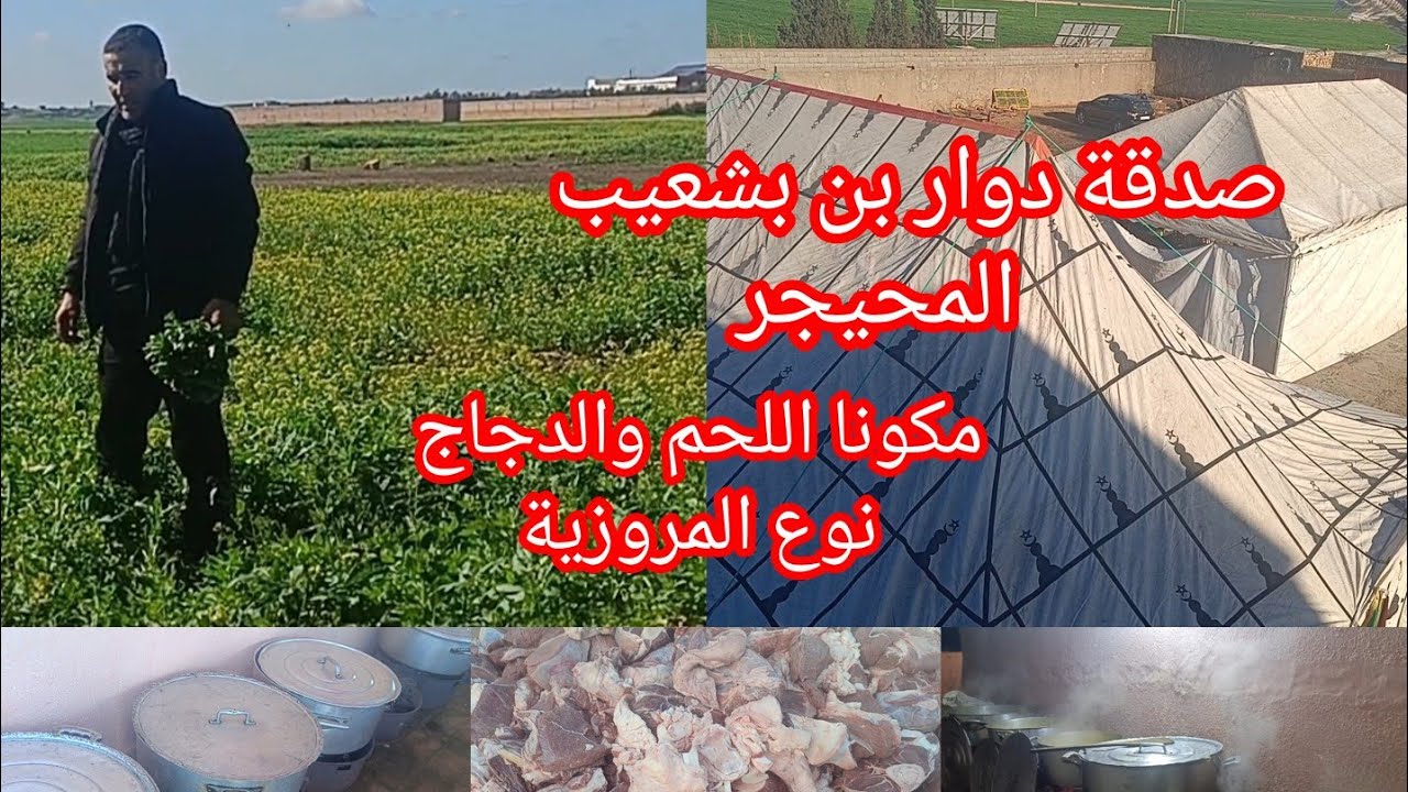 صدقة دوار بن بشعيب سريخلي اللحم فتي وعلاش غسلتو نوع المروزية الى خدمت بيها💯 