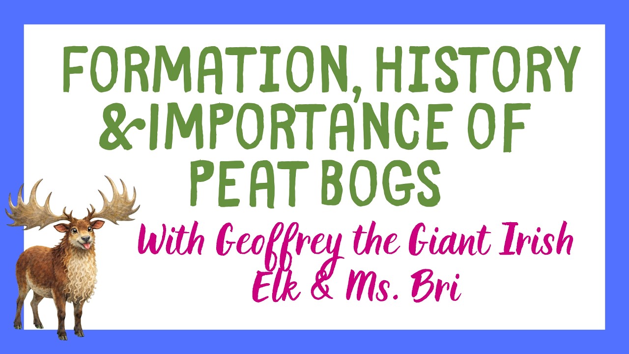 Peat Bogs: Learn from Geoffrey, the Extinct Giant Irish Elk!
