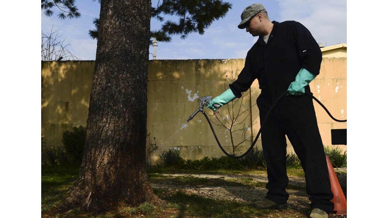 Pest Control in Mira Mesa, CA - Reasons to Hire a Professional Pest Control Company