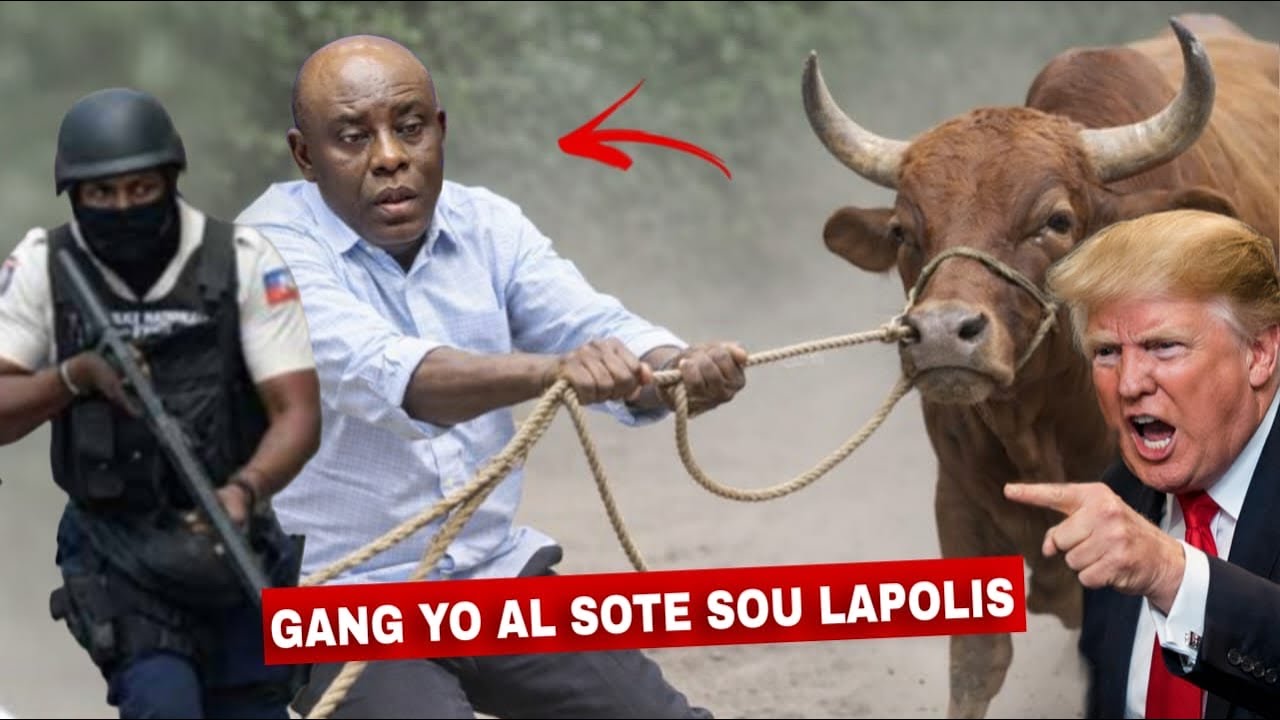 Si se Pat Trump kite dil Mpa Tap kw&egrave;..Esperace Vol&egrave; b&egrave;f nan Lagonav Fednel Bay Pr&egrave;v yo