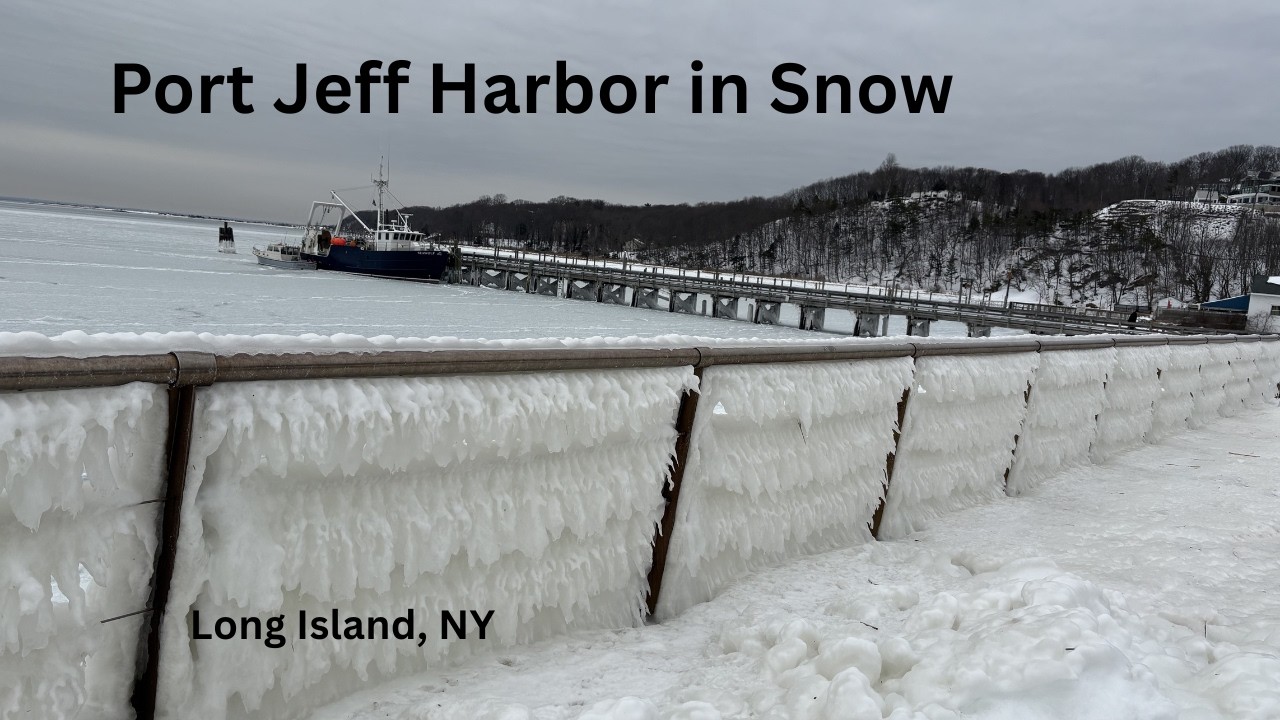 Out and About: Port Jeff Harbor in Snow