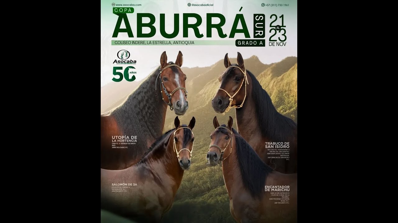 COPA ABURR&Aacute; SUR GRADO 