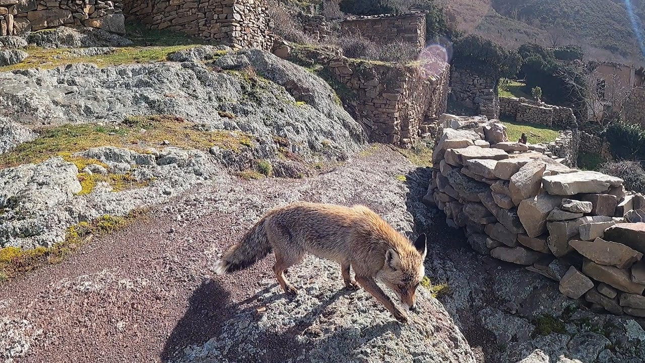 ENCUENTRO un VECINO muy ESPECIAL en este PUEBLO ABANDONADO| La Rioja