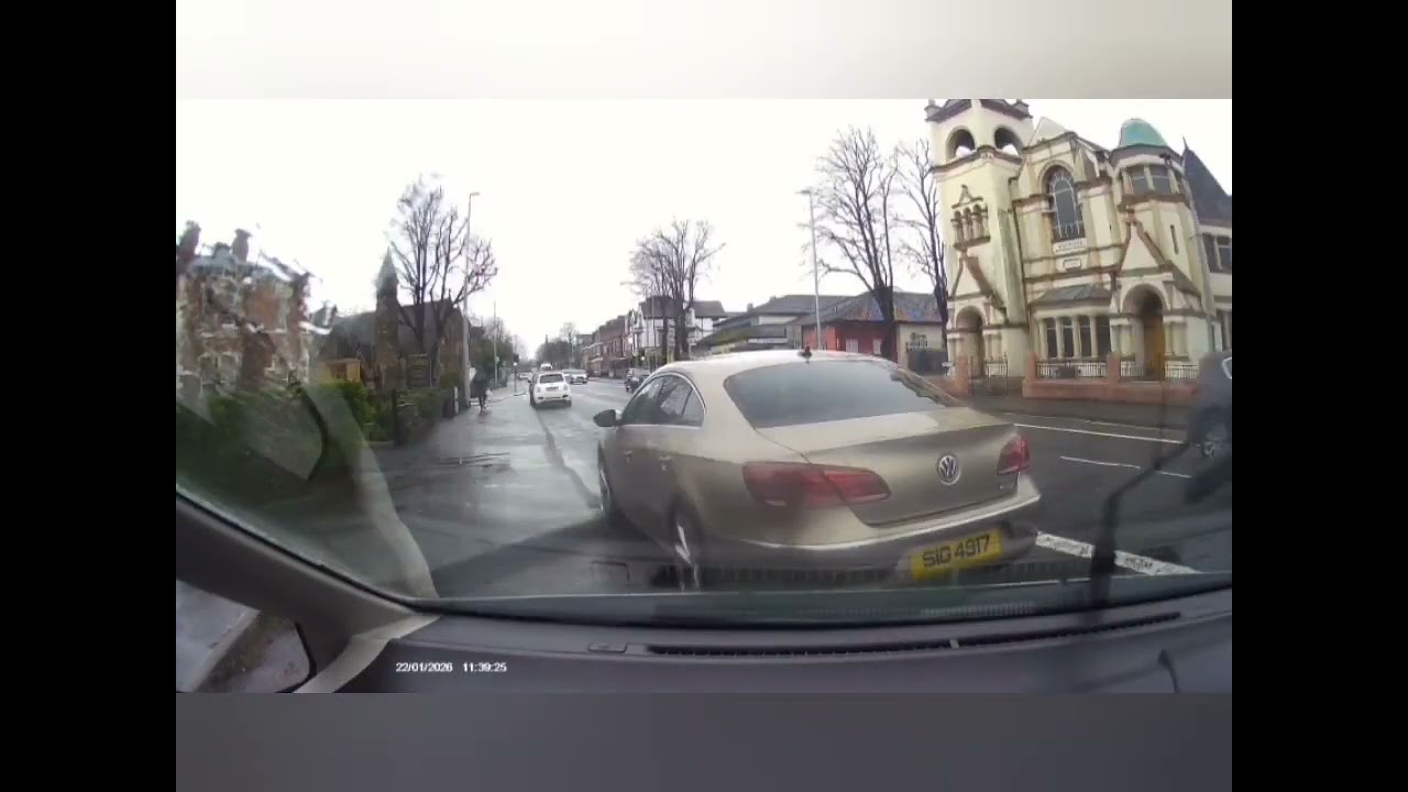 Dashcam Doofuses