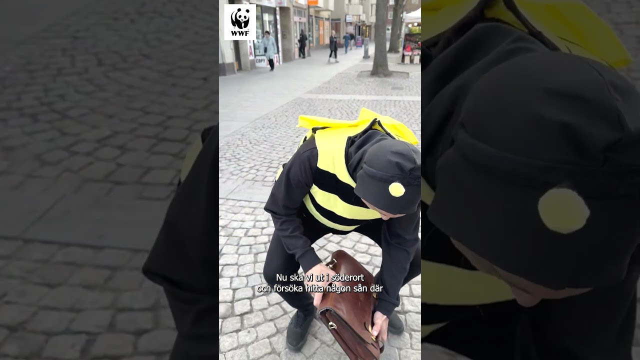 KAN EN PAPPERSLAPP GE BOSTADSNAPP? FÖLJ ROGERS RESA OCH HJÄLP VÅRA POLLINATÖRER 🐝💼 #humor #funny