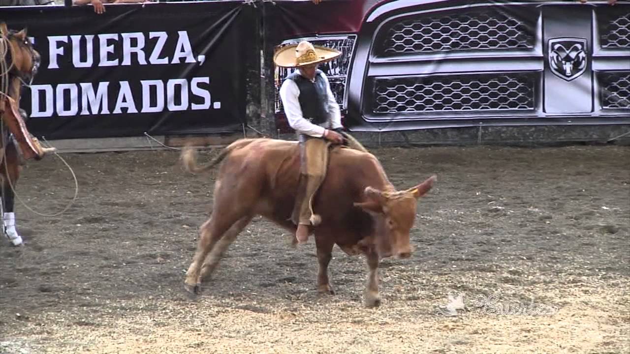Monta de toro - Excelencia Charra Pachuca 2013