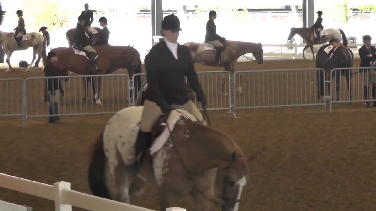 2016 05 07 Chloe's Youth Hunter Under Saddle 14 18