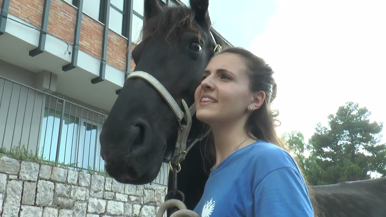 Preparativi a Matera: test sanitario per i cavalli della Cavalcata di Maria SS della Bruna