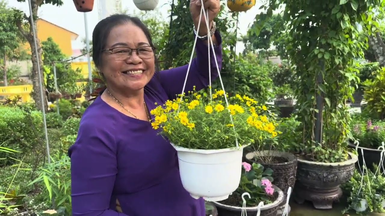 Nhà Nam Việt đi chùa cuối năm