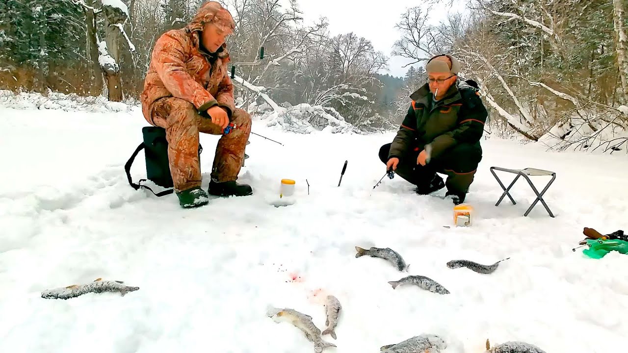 Хариус и ленок из подо льда! Открытие по твердой воде на горной реке состоялось в ноябре !